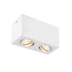 Накладний точковий світильник SLV TRILEDO Double 10W - SLV (Німеччина)