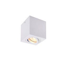 Накладний точковий світильник SLV TRILEDO Single 10W - SLV (Німеччина)