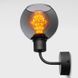 Бра Iimperium light 729120.05.69 Temp, Black, Чорний, Чорний, Димчатий