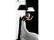Люстра AZzardo SELENA AZ1320 white, Никель, Белый