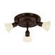 Точечный светильник Eglo Alamo 89061, Коричневый, Коричневый, Белый