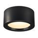 Накладной потолочный светильник FERA 25 CL, 3000K, Black, Черный